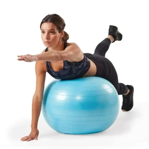 Weighted Stability Exercise Ball.